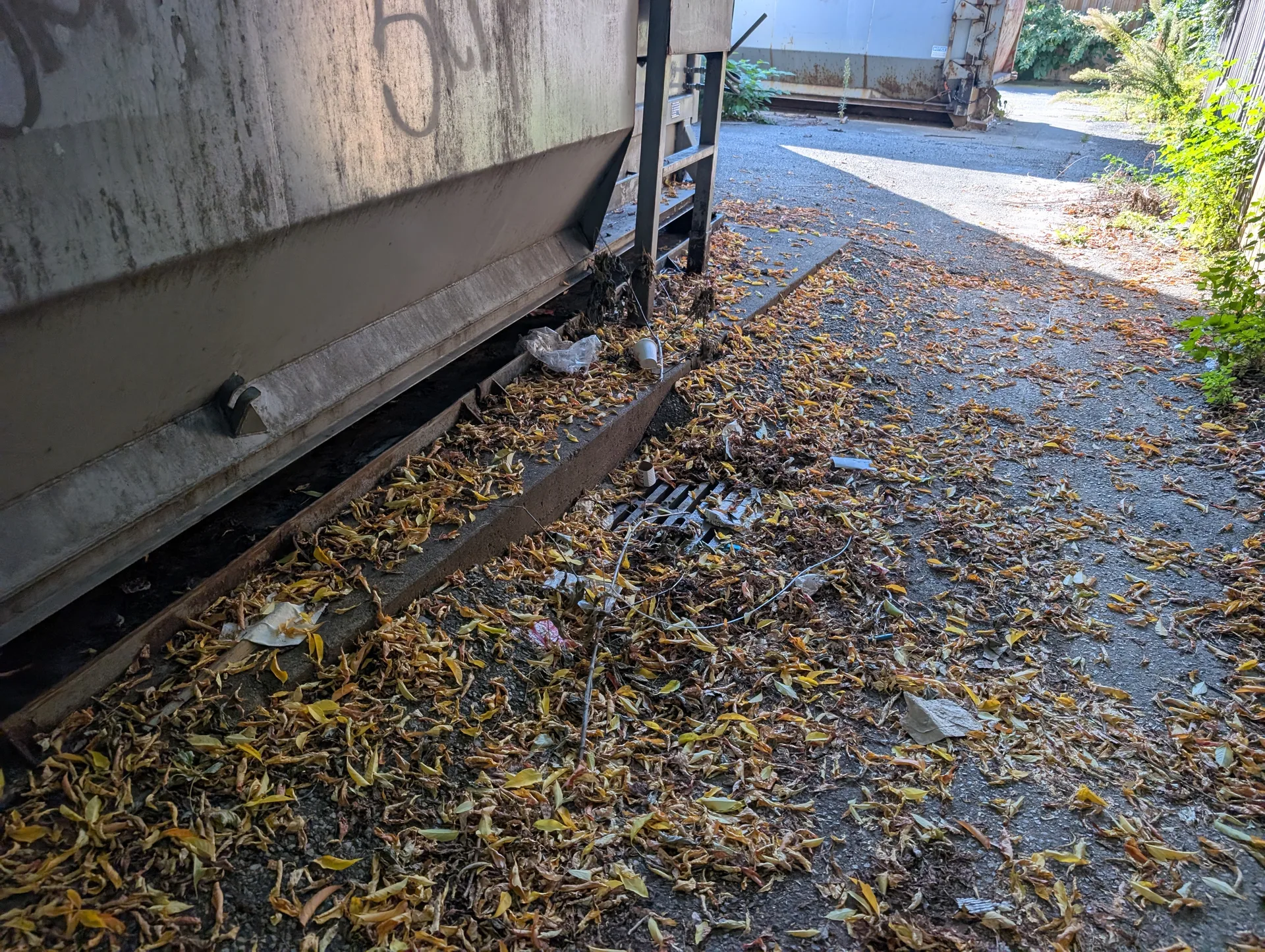 Property perimeter cleared of all litter and debris by ACE, restoring professional curb appeal.