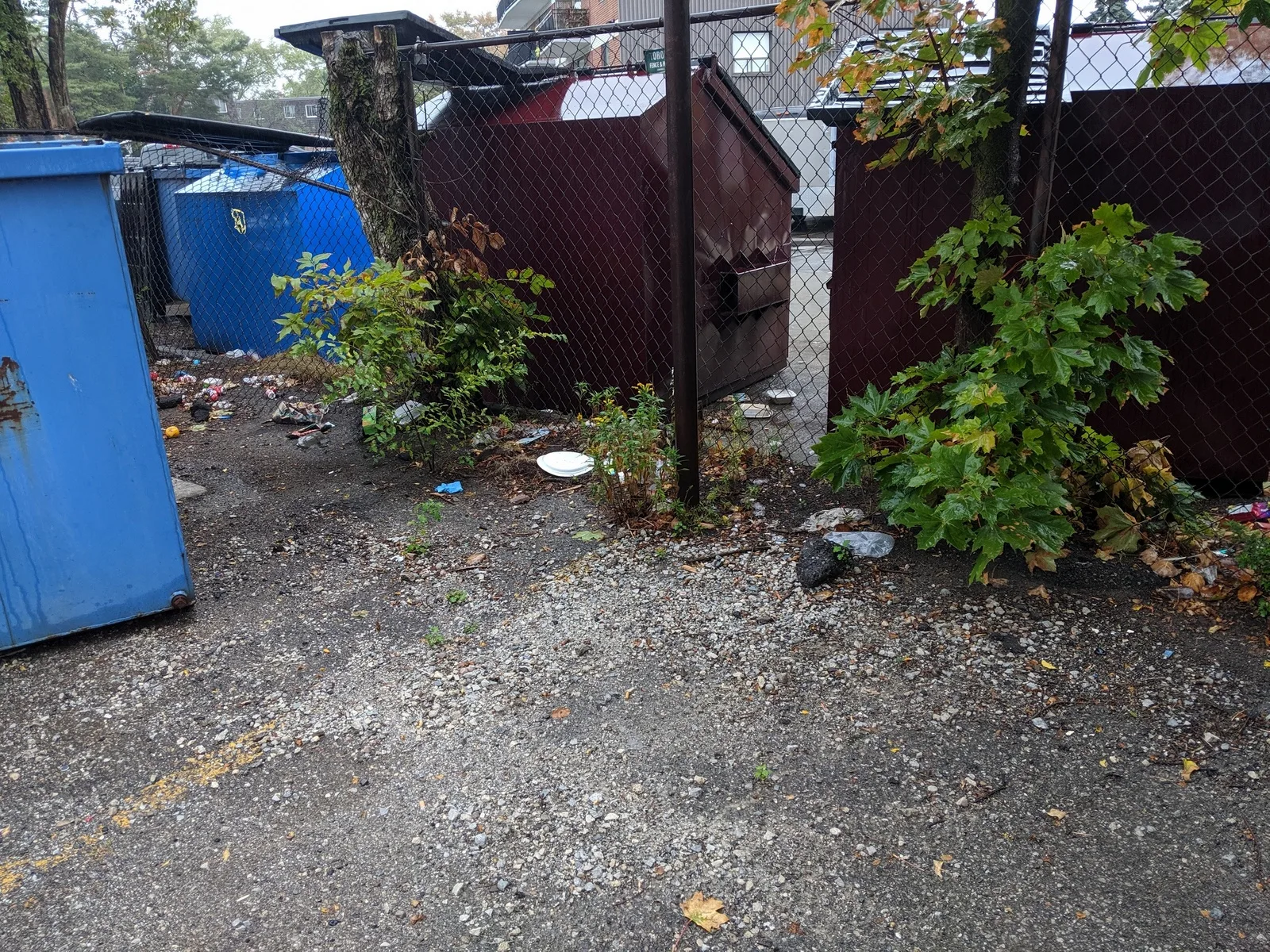 Dirty retail waste management area with scattered garbage and ground stains before professional wash