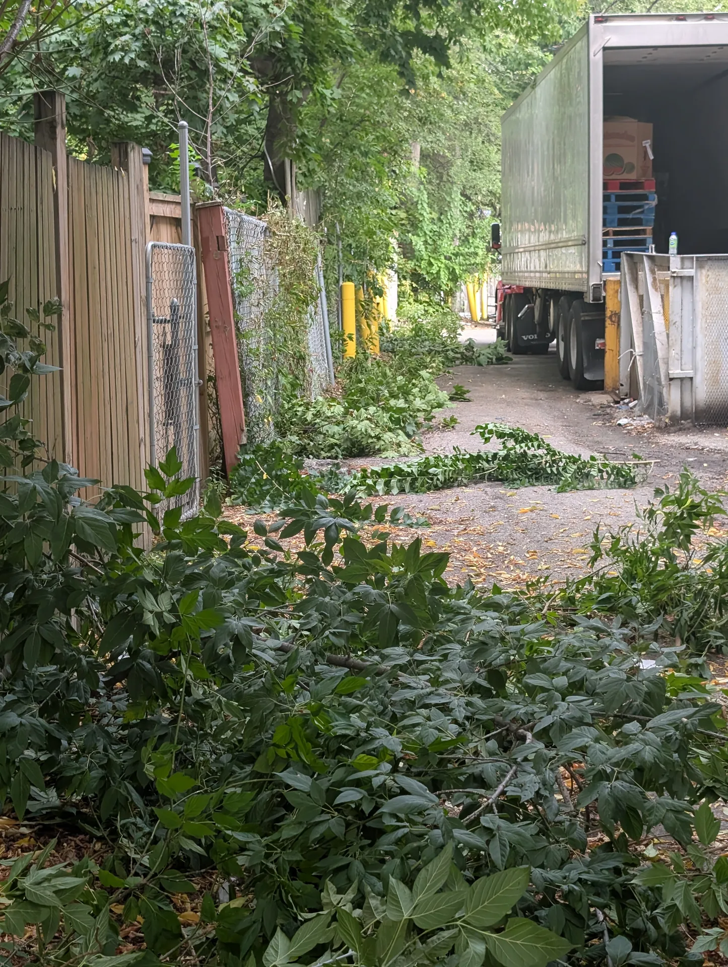 Trimmed tree branches, debris and organic waste near a site compactor prior to ACE professional removal