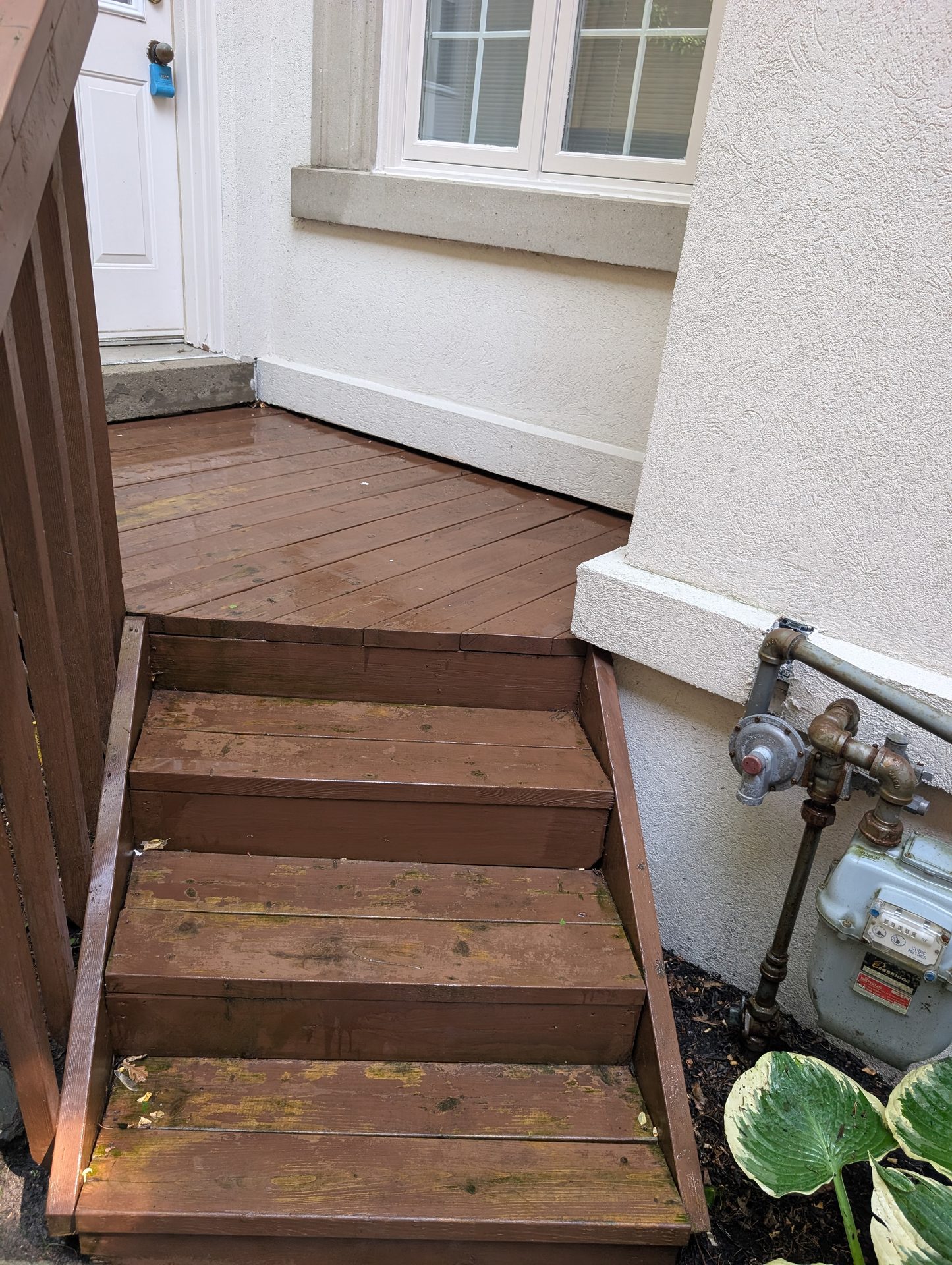 Clean wooden deck after ACE soft wash treatment in Bolton