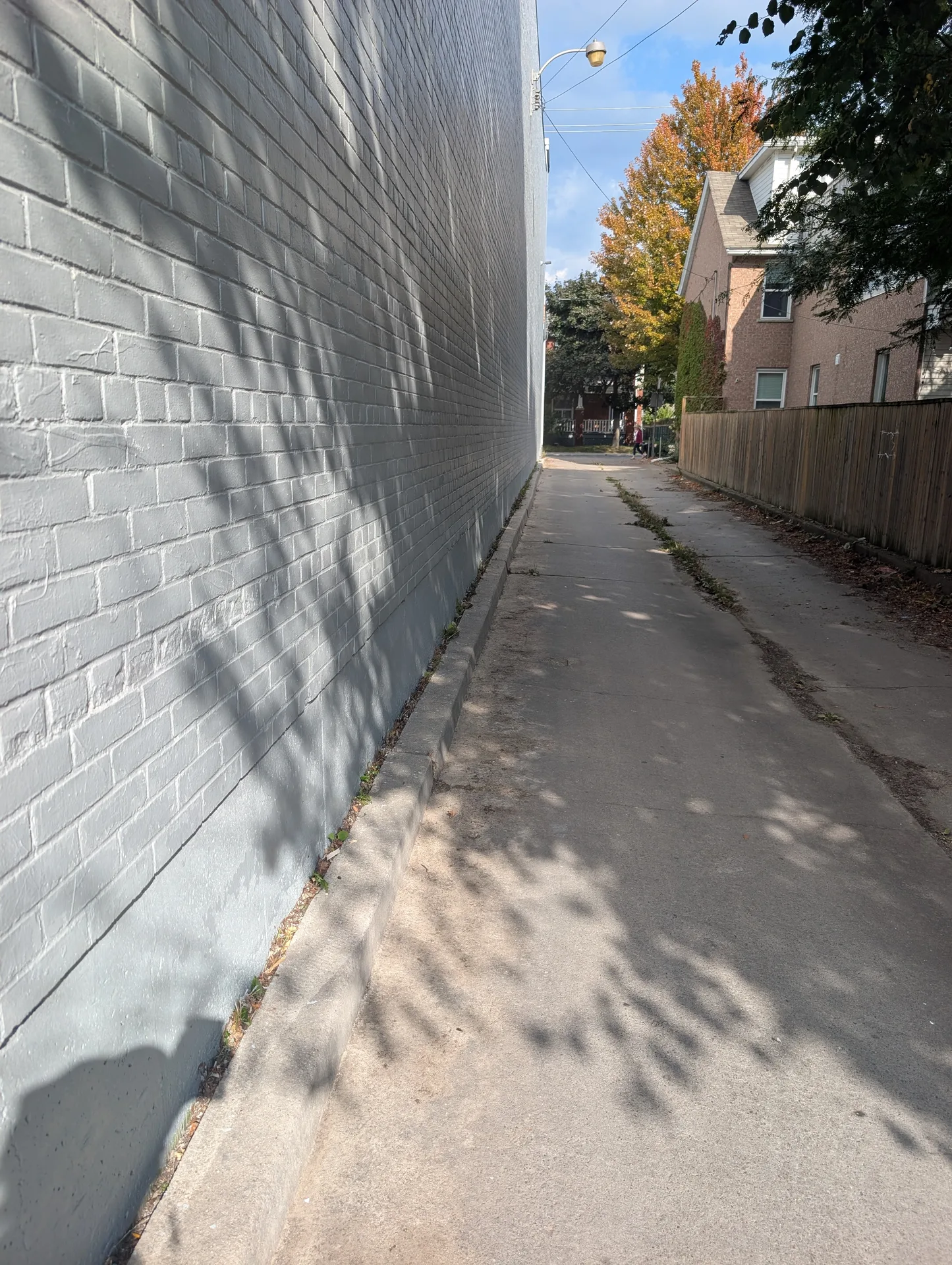 Commercial alleyway restored to functional safety following ACE professional sweeping and vegetation removal