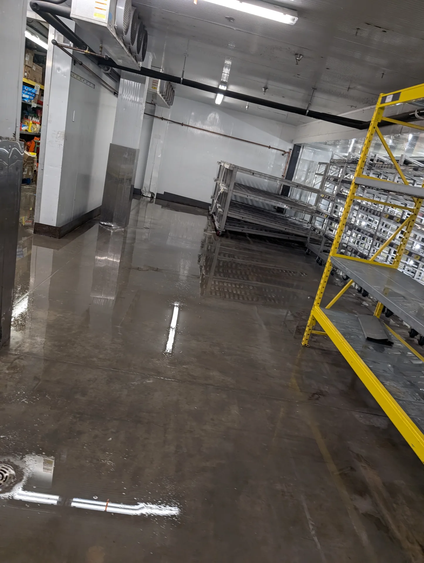 Professional walk-in cooler floor sanitation by Ace Power Washing for grocery and retail stores