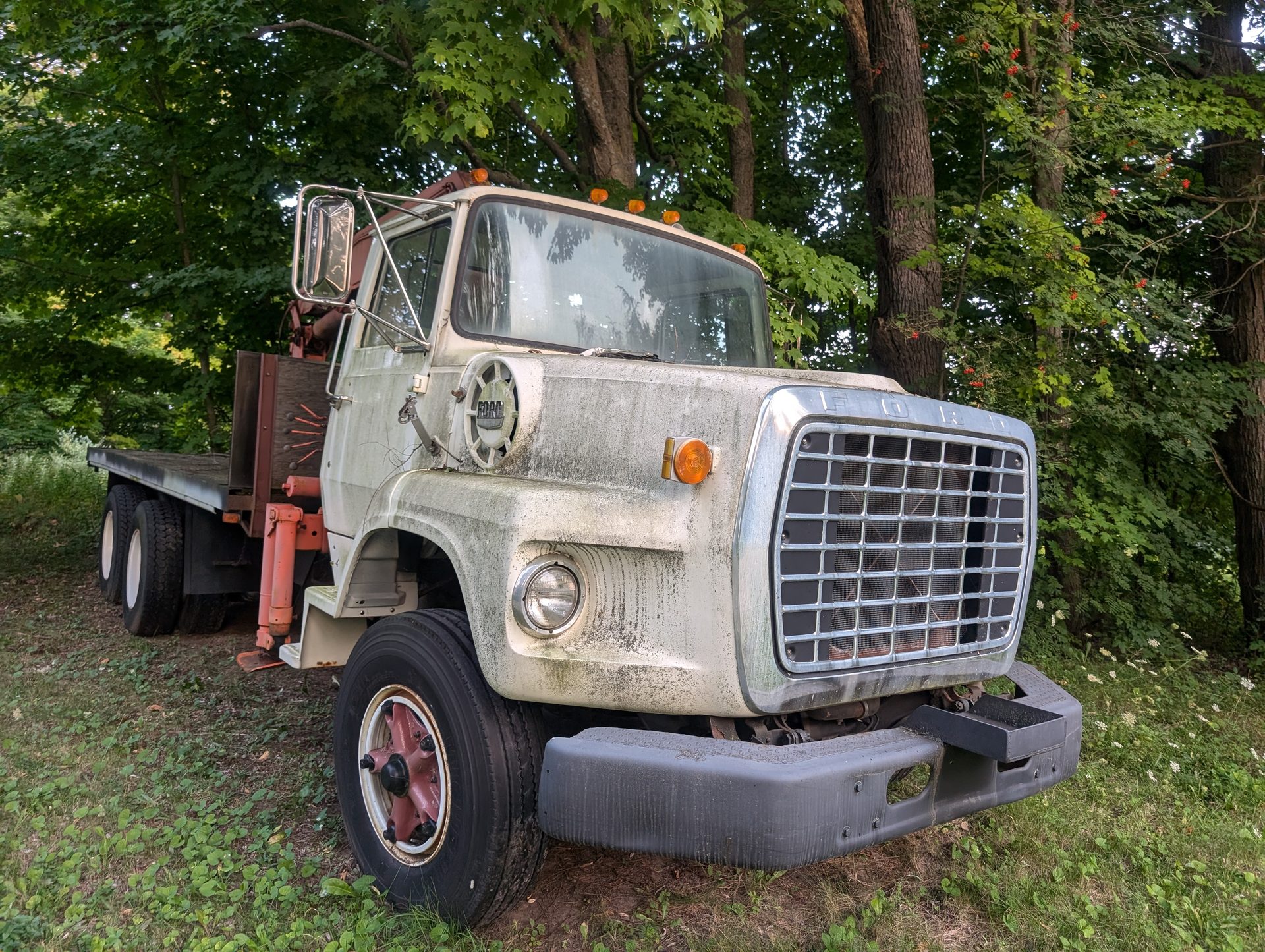 Before: Heavy organic growth and moss on a Ford truck and farm machinery in rural Acton before ACE's cleaning