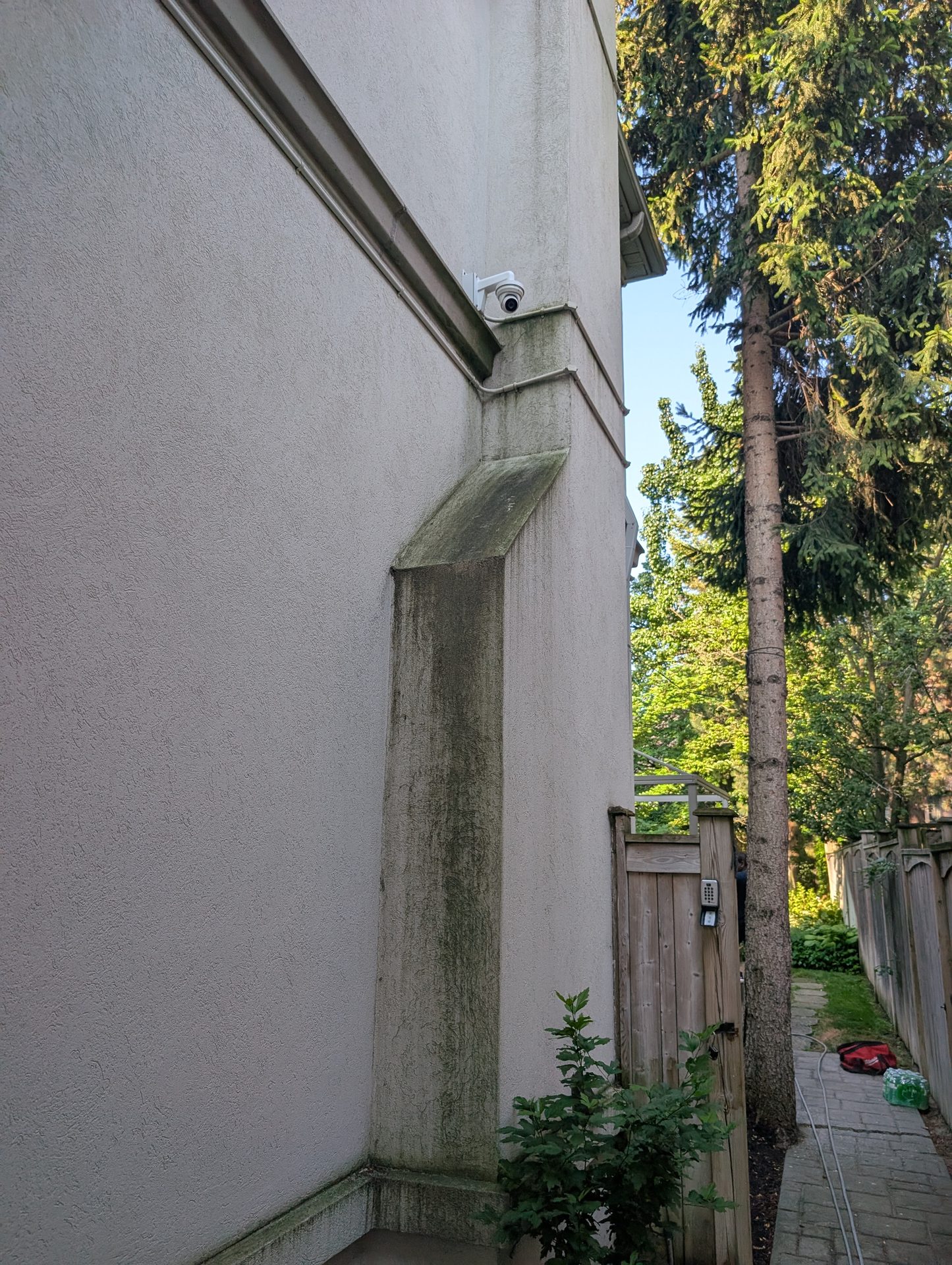 Before: Heavy green algae stains on a residential stucco exterior in Erin before ACE's soft wash treatment