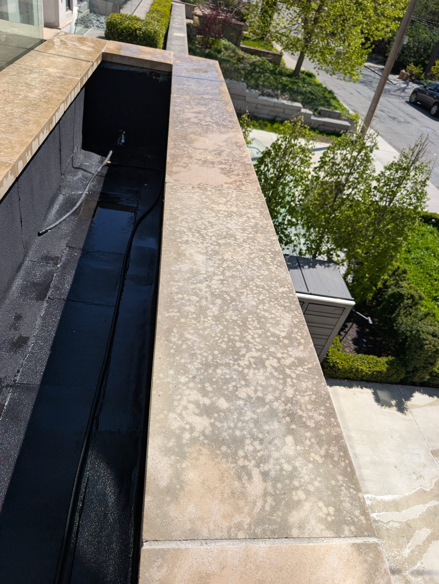 Indiana limestone planter in Caribou Park heavily stained by black lichen buildup before ACE's restoration