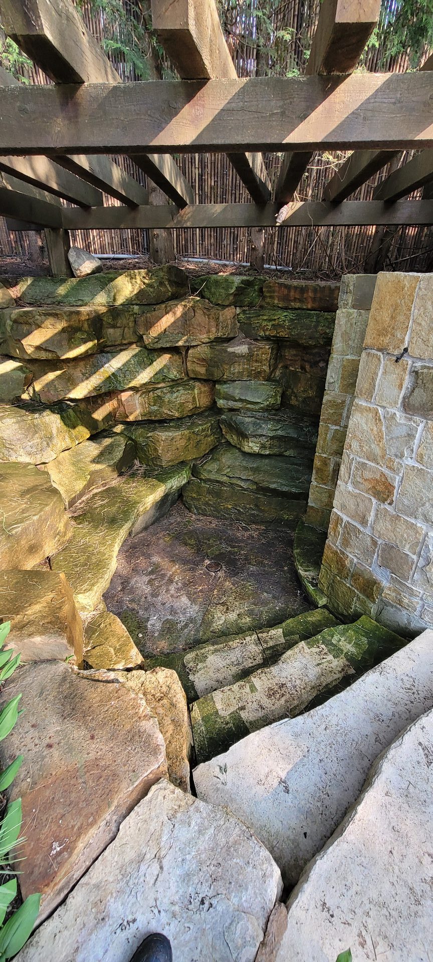 Heavy organic growth, moss, and algae saturation in a natural stone outdoor shower prior to ACE chemical sanitization