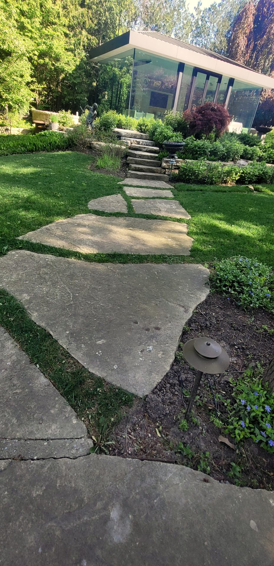 Heavy organic growth and moss saturation on an estate stone walkway in Hoggs Hollow prior to ACE restoration