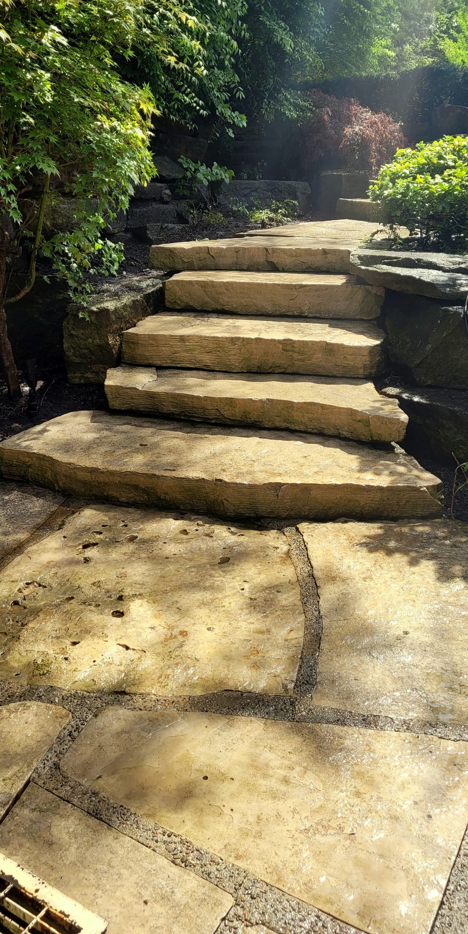 Natural sandstone estate stairs in Bridle Path restored to original stonework clarity by ACE professional chemical cleaning