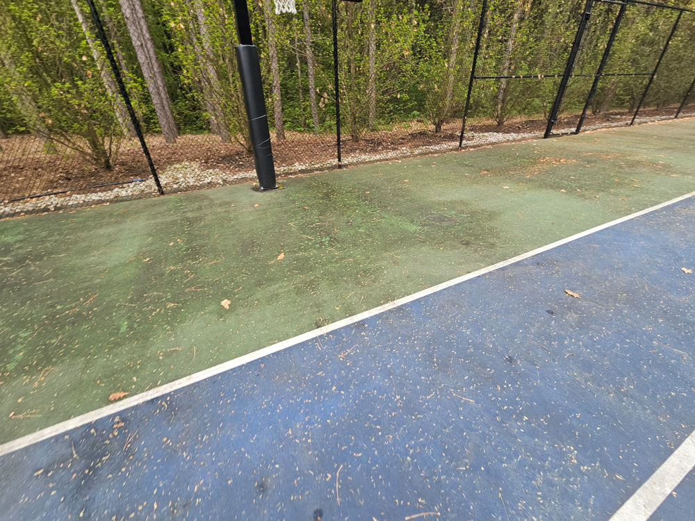 Close-up of algae and mildew build-up on hard tennis court surface prior to professional cleaning